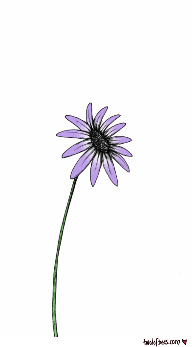 Flower Sketch 2