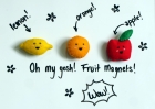 Fruity Magnets 1