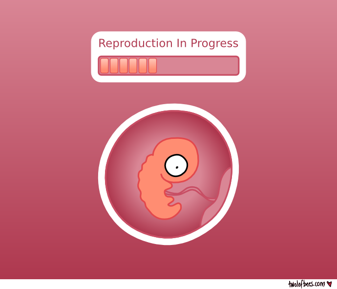 Reproduction In Progress