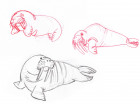 Walrus Practice