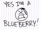23 Dec 2010 - Blueberry