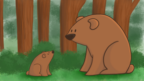 Big Bear and Little Bear