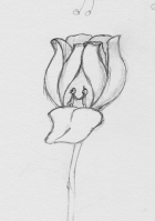 Dodeciversary Flower