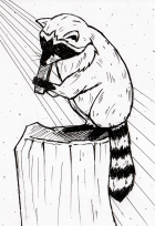 Inktober - Raccoon