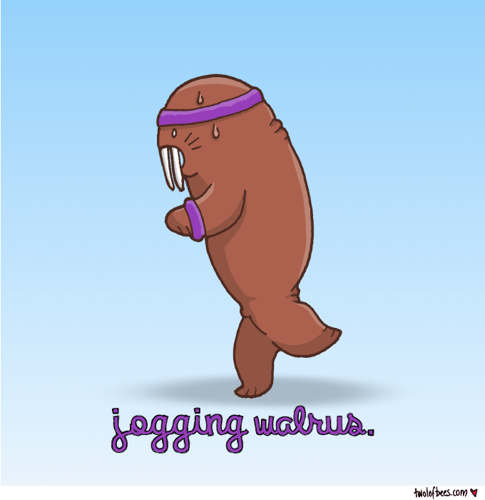 Jogging Walrus
