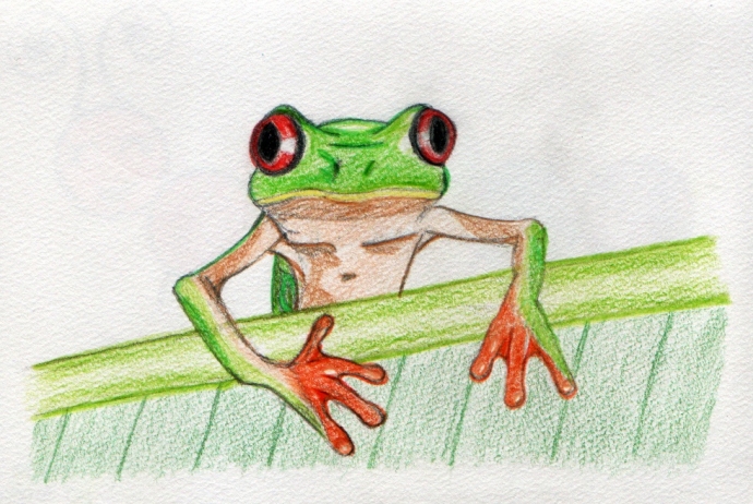 Poor frog