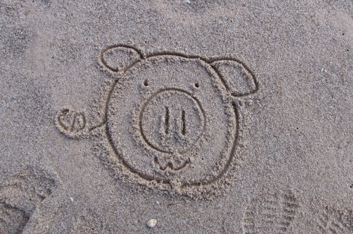 Sand Pig