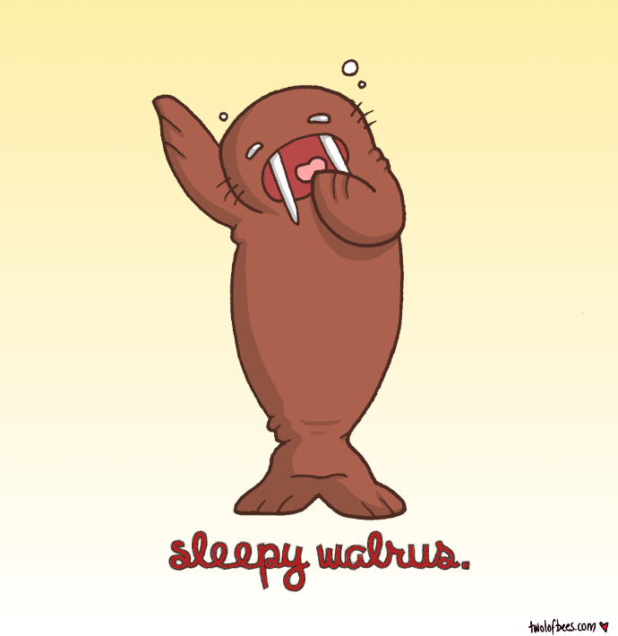 Sleepy Walrus