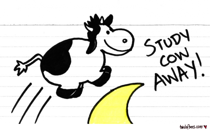 Study Cow